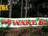 Wake Ъп  festival-ден 1 и 2